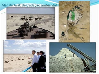 Mar de Aral: degradação ambiental
 