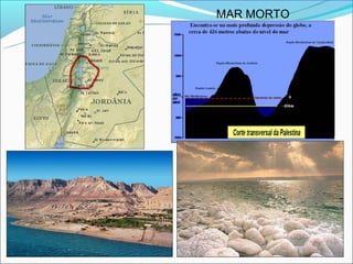 MAR MORTO
 