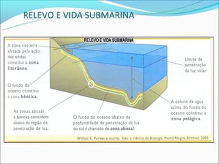 RELEVO E VIDA SUBMARINA
 