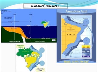 A AMAZÔNIA AZUL
 