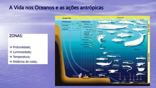 A Vida nos Oceanos e as ações antrópicas
ZONAS:
 Profundidade;
 Luminosidade;
 Temperatura;
 Distância da costa;
 