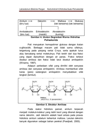 Laboratorium Biokimia Pangan Karbohidrat II (Hidrolisa Suatu Polisakarida)
Amilum Dekstrin Maltosa Glukosa
(biru tua) (tak berwarna) (tak berwarna)
Amilodekstrin Eritrodekstrin Akrodekstrin
(biru tua) (merah) (kuning)
Gambar 4. Urutan Degredasi Warna Hidrolisa
Polisakarida
Pati merupakan homopolimer glukosa dengan ikatan
α-glikosidik. Berbagai macam pati tidak sama sifatnya,
tergantung pada panjang rantai C-nya, serta apakah lurus
atau bercabang rantai molekulnya. Pati terdiri dari dua fraksi
yang dapat dipisahkan dengan air panas. Fraksi terlarut
disebut amilosa dan fraksi tidak larut disebut amilopektin
(Winarno, 1997).
Adapun perbedaan sifat yang dimiliki oleh senyawa
amilosa dan senyawa amilopektin. Amilosa memberikan sifat
keras (pera) sedangkan amilopektin menyebabkan sifat
lengket (lembut).
Gambar 5. Struktur Amilosa
Pada reaksi hidrolisis parsial, amilum terpecah
menjadi molekul-molekul yang lebih kecil yang dikenal dengan
nama dekstrin. Jadi dekstrin adalah hasil antara pada proses
hidrolisis amilum sebelum terbentuk maltosa. Larutan dekstrin
banyak digunakan sebagai bahan perekat (Poedjiadi, 2005).
 