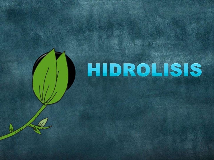 Hidrolisis.ppt