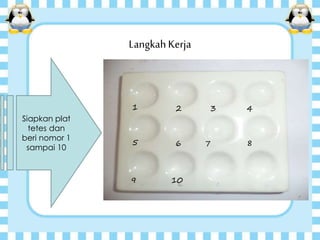LangkahKerja
Siapkan plat
tetes dan
beri nomor 1
sampai 10
5
3
86
21
109
4
7
 