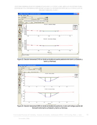 ESTUDIO HIDROLÓGICO E HIDRÁULICO DE LA CUENCA DEL RÍO SAN EUGENIO PARA
GENERAR UNA INFORMACIÓN BÁSICA PARA LA INTERVENCIÓN DE LA CUENCA EN SU
TRAMO URBANO. FASE 1
Universidad Nacional de Colombia, Instituto de Estudios .Ambientales IDEA – GTA en Ing. Hidr. y Amb. 34
Noviembre 2006
Figura 23. Sección transversal 2145 en donde se localiza el puente peatonal entre barrio La Estación y
barrio La Hermosa.
Figura 24. Sección transversal 2380 en donde se localiza el puente de un solo carril antiguo puente del
ferrocarril entre barrio La Estación y barrio La Hermosa.
 