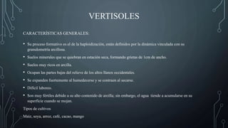 VERTISOLES
• Su proceso formativo es el de la haploidización, están definidos por la dinámica vinculada con su
granulometría arcillosa.
• Suelos minerales que se quiebran en estación seca, formando grietas de 1cm de ancho.
• Suelos muy ricos en arcilla.
• Ocupan las partes bajas del relieve de los altos llanos occidentales.
• Se expanden fuertemente al humedecerse y se contraen al secarse.
• Difícil laboreo.
• Son muy fértiles debido a su alto contenido de arcilla; sin embargo, el agua tiende a acumularse en su
superficie cuando se mojan.
Tipos de cultivos
Maíz, soya, arroz, café, cacao, mango
CARACTERÍSTICAS GENERALES:
 