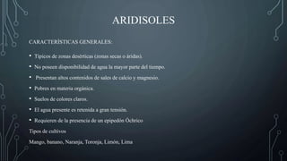 ARIDISOLES
• Típicos de zonas desérticas (zonas secas o áridas).
• No poseen disponibilidad de agua la mayor parte del tiempo.
• Presentan altos contenidos de sales de calcio y magnesio.
• Pobres en materia orgánica.
• Suelos de colores claros.
• El agua presente es retenida a gran tensión.
• Requieren de la presencia de un epipedón Óchrico
Tipos de cultivos
Mango, banano, Naranja, Toronja, Limón, Lima
CARACTERÍSTICAS GENERALES:
 