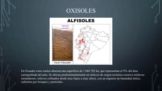 OXISOLES
En Ecuador estos suelos abarcan una superficie de 1 044 782 ha, que representan el 5% del área
cartografiada del país. Se ubican predominantemente en relieves de origen tectónico erosivo (relieves
montañosos, relieves colinados desde muy bajos a muy altos), con un régimen de humedad ústico,
cubiertos por bosques y pastizales.
 