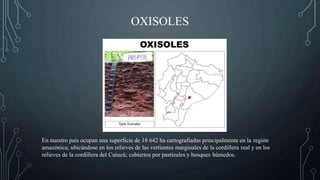 OXISOLES
En nuestro país ocupan una superficie de 18 642 ha cartografiadas principalmente en la región
amazónica; ubicándose en los relieves de las vertientes marginales de la cordillera real y en los
relieves de la cordillera del Cutucú; cubiertos por pastizales y bosques húmedos.
 