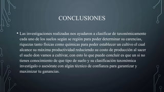 CONCLUSIONES
• Las investigaciones realizadas nos ayudaron a clasificar de taxonómicamente
cada uno de los suelos según se región para poder determinar su carencias,
riquezas tanto físicas como químicas para poder establecer un cultivo el cual
alcance su máxima productividad reduciendo su costo de producción al sacer
el suelo don vamos a cultivar, con esto lo que puedo concluir es que un si no
tienes conocimiento de que tipo de suelo y su clasificación taxonómica
investígalo o asesórate con algún técnico de confianza para garantizar y
maximizar tu ganancias.
 