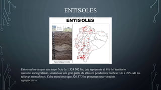 ENTISOLES
Estos suelos ocupan una superficie de 1 324 302 ha, que representa el 6% del territorio
nacional cartografiado, situándose una gran parte de ellos en pendientes fuertes (>40 a 70%) de los
relieves montañosos. Cabe mencionar que 520 573 ha presentan una vocación
agropecuaria.
 