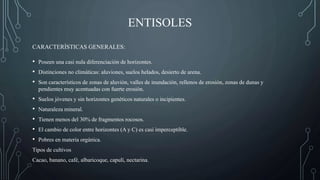 ENTISOLES
• Poseen una casi nula diferenciación de horizontes.
• Distinciones no climáticas: aluviones, suelos helados, desierto de arena.
• Son característicos de zonas de aluvión, valles de inundación, rellenos de erosión, zonas de dunas y
pendientes muy acentuadas con fuerte erosión.
• Suelos jóvenes y sin horizontes genéticos naturales o incipientes.
• Naturaleza mineral.
• Tienen menos del 30% de fragmentos rocosos.
• El cambio de color entre horizontes (A y C) es casi imperceptible.
• Pobres en materia orgánica.
Tipos de cultivos
Cacao, banano, café, albaricoque, capulí, nectarina.
CARACTERÍSTICAS GENERALES:
 