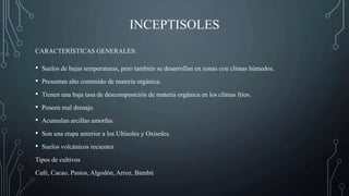 INCEPTISOLES
• Suelos de bajas temperaturas, pero también se desarrollan en zonas con climas húmedos.
• Presentan alto contenido de materia orgánica.
• Tienen una baja tasa de descomposición de materia orgánica en los climas fríos.
• Poseen mal drenaje.
• Acumulan arcillas amorfas.
• Son una etapa anterior a los Ultisoles y Oxisoles.
• Suelos volcánicos recientes
Tipos de cultivos
Café, Cacao, Pastos, Algodón, Arroz, Bambú
CARACTERÍSTICAS GENERALES:
 
