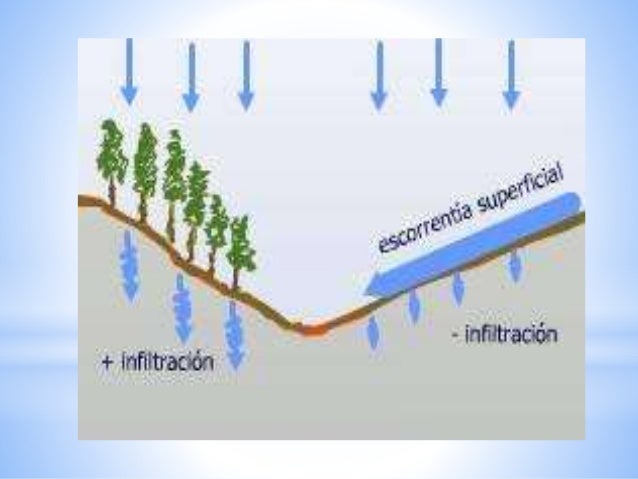 Hidrologia infiltracion