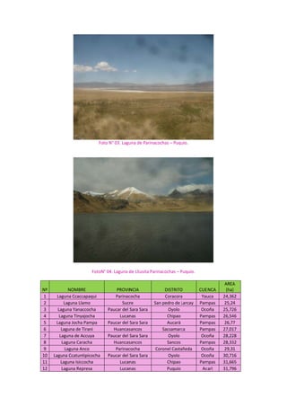 Nº 
1 
2 
3 
4 
5 
6 
7 
8 
9 
10 
11 
12 
NOM
Laguna Cca
Laguna 
Laguna Ya
Laguna Tin
Laguna Joc
Laguna d
Laguna de
Laguna C
Laguna
Laguna Ccatu
Laguna Is
Laguna R
Fot
FotoN
MBRE 
accapaqui 
Llamo 
naccocha 
nyajocha 
ha Pampa 
de Tirani 
e Accuya 
Caracha 
a Anco 
untipicocha 
siccocha 
Represa 
to N° 03. Lagu
° 04. Laguna d
PROVIN
Parinac
Sucr
Paucar del S
Lucan
Paucar del S
Huancas
Paucar del S
Huancas
Parinac
Paucar del S
Lucan
Lucan
una de Parina
 
 
 
de Lliusita Par
NCIA 
cocha 
re  S
Sara Sara 
nas 
Sara Sara 
sancos 
Sara Sara 
sancos 
cocha 
Sara Sara 
nas 
nas 
cochas – Puqu
rinacochas – P
DISTRITO
Coracora
San pedro de 
Oyolo
Chipao
Aucarà
Sacsamarc
Oyolo
Sancos
Coronel Casta
Oyolo
Chipao
Puquio
uio. 
Puquio. 
O  CUE
a  Yau
Larcay  Pam
Oco
Pam
Pam
ca  Pam
Oco
Pam
añeda  Oco
Oco
Pam
Ac
 
NCA 
AREA
(ha)
uca  24,36
mpas  25,24
oña  25,72
mpas  26,54
mpas  26,77
mpas  27,01
oña  28,22
mpas  28,33
oña  29,3
oña  30,71
mpas  31,66
carì  31,79
A 
) 
62 
4 
26 
46 
7 
17 
28 
32 
1 
16 
65 
96 
 