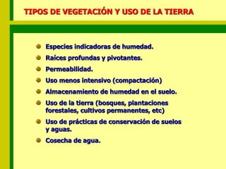 TIPOS DE VEGETACIÓN Y USO DE LA TIERRA
Especies indicadoras de humedad.
Raíces profundas y pivotantes.
Permeabilidad.
Uso menos intensivo (compactación)
Almacenamiento de humedad en el suelo.
Uso de la tierra (bosques, plantaciones
forestales, cultivos permanentes, etc)
Uso de prácticas de conservación de suelos
y aguas.
Cosecha de agua.
 