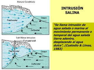 “Se llama intrusión de
agua salada o marina al
movimiento permanente o
temporal del agua salada
tierra adentro,
desplazando al agua
dulce”, (Custodio & Llmas,
1983)
INTRUSIÓN
SALINA
 