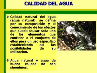 CALIDAD DEL AGUA
Calidad natural del agua
(agua natural): se define
por su composición y el
conocimiento de los efectos
que puede causar cada uno
de los elementos que
contiene o el conjunto de
ellos para un uso específico
estableciendo así las
posibilidades de su
utilización.
Agua natural y agua de
buena calidad no son
sinónimos.
 