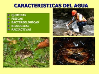CARACTERISTICAS DEL AGUA
QUIMICAS
FISICAS
BACTEREOLOGICAS
BIOLOGICAS
RADIACTIVAS
 