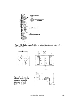 Universidad de Atacama 112
Figura 5.3 : Doble capa eléctrica en la interfase entre el electrodo
y la solución.
Figura 5.4 : Reacción
entre el fierro (II) y el
cerio (iV), y voltaje
absoluto en cada
punto de la celda.
 