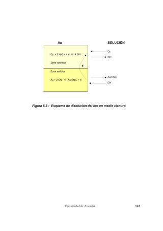 Universidad de Atacama 141
Figura 6.3 : Esquema de disolución del oro en medio cianuro
Au SOLUCION
O2
O2 + 2 H2O + 4 e-
=> 4 OH-
OH-
Zona catódica
e-
Zona anódica
Au(CN)2
-
Au + 2 CN-
=> Au(CN)2
-
+ e-
CN-
 