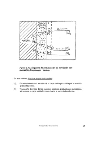 Universidad de Atacama 25
Figura 3.1.2. Esquema de una reacción de lixiviación con
formación de una capa porosa.
En este modelo, hay dos etapas adicionales :
(5) Difusión del reactivo a través de la capa sólida producida por la reacción
(producto poroso)
(6) Transporte de masa de las especies solubles, productos de la reacción,
a través de la capa sólida formada, hacia el seno de la solución.
5
6
 