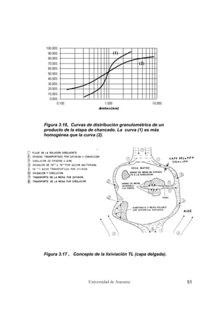 Universidad de Atacama 51
Figura 3.16, Curvas de distribución granulométrica de un
producto de la etapa de chancado. La curva (1) es más
homogénea que la curva (2).
Figura 3.17 , Concepto de la lixiviación TL (capa delgada).
(1)
(2)
 