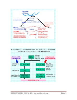 HIDROMETALURGIA IMIN316 – 2014 - Germán Cáceres Arenas Página 5
 