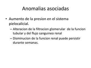 Anomalias asociadas
• Aumento de la presion en el sistema
  pielocalicial.
  – Alteracion de la filtracion glomerular de la funcion
    tubular y del flujo sanguineo renal
  – Disminucion de la funcion renal puede persistir
    durante semanas.
 