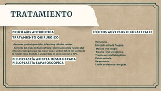 Hidronefrosis-presentacion-de-nefrologia.pdf