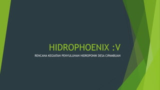 HIDROPHOENIX :V
RENCANA KEGIATAN PENYULUHAN HIDROPONIK DESA CIPAMBUAN
 