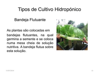 Tipos de Cultivo Hidropónico
Bandeja Flutuante
As plantas são colocadas em
bandejas flutuantes, na qual
germina a semente e se coloca
numa mesa cheia de solução
nutritiva. A bandeja flutua sobre
esta solução.
27/07/2014 13
 