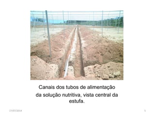 Canais dos tubos de alimentação
da solução nutritiva, vista central da
estufa.
27/07/2014 5
 