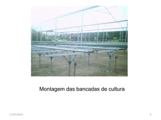 Montagem das bancadas de cultura
27/07/2014 6
 
