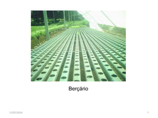 Berçário
27/07/2014 7
 