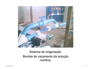 Sistema de oxigenação. 
Bomba de vazamento da solução 
nutritiva. 
25/08/2014 10 
 