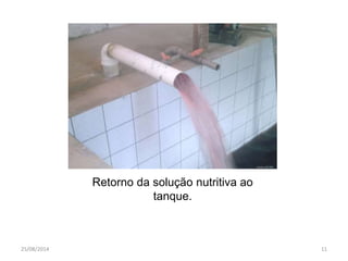 Retorno da solução nutritiva ao 
tanque. 
25/08/2014 11 
 