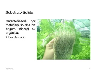 Substrato Solido 
Caracteriza-se por 
materiais sólidos de 
origem mineral ou 
orgânica. 
Fibra de coco 
25/08/2014 14 
 