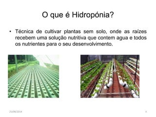O que é Hidropónia? 
• Técnica de cultivar plantas sem solo, onde as raízes 
recebem uma solução nutritiva que contem agua e todos 
os nutrientes para o seu desenvolvimento. 
25/08/2014 3 
 
