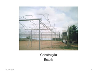 Construção 
Estufa 
25/08/2014 4 
 