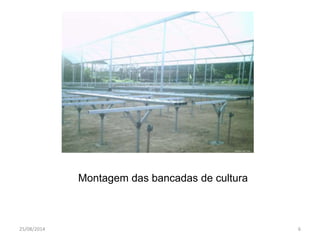 Montagem das bancadas de cultura 
25/08/2014 6 
 