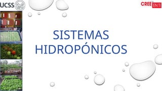 SISTEMAS
HIDROPÓNICOS
 