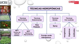 TÉCNICAS HIDROPÓNICAS
Técnicas
Recirculares
Técnicas
Estacionarias
Técnicas
Aéreas
Técnicas
Con sustrato
Raíz
Flotante
NFT
Técnica de
película
nutritiva
DFT
Técnica de
flujo profundo
Spray
Inorgánicos
Orgánicos
Artificiales
Forraje verde
hidropónico
 