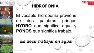 HIDROPONÍA
16/09/2025
Wilson Roberto Ludeña Marín 01
El vocablo hidroponía proviene
de dos palabras griegas
HYDRO que significa agua y
PONOS que significa trabajo.
Es decir trabajar en agua.
 