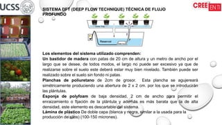 SISTEMA DFT (DEEP FLOW TECHNIQUE) TÉCNICA DE FLUJO
PROFUNDO
Los elementos del sistema utilizado comprenden:
Un bastidor de madera con patas de 20 cm de altura y un metro de ancho por el
largo que se desee, de todos modos, el largo no puede ser excesivo ya que de
realizarse sobre el suelo este deberá estar muy bien nivelado. También puede ser
realizado sobre el suelo sin fondo ni patas.
Planchas de poliuretano de 2cm de grosor. Esta plancha se agujereará
simétricamente produciendo una abertura de 2 x 2 cm. por los que se introducirán
las plántulas.
Esponja de polyfoam de baja densidad, 2 cm de ancho para permitir el
enraizamiento o fijación de la plántula y además es más barata que la de alta
densidad, este elemento es descartable del sistema.
Lámina de plástico De doble capa (blanca y negra, similar a la usada para la
producción de silos) (100-150 micrones).
 