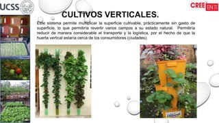 CULTIVOS VERTICALES.
Este sistema permite multiplicar la superficie cultivable, prácticamente sin gasto de
superficie, lo que permitiría revertir varios campos a su estado natural. Permitiría
reducir de manera considerable el transporte y la logística, por el hecho de que la
huerta vertical estaría cerca de los consumidores (ciudades).
 