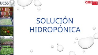 SOLUCIÓN
HIDROPÓNICA
 