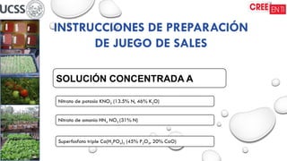 INSTRUCCIONES DE PREPARACIÓN
DE JUEGO DE SALES
SOLUCIÓN CONCENTRADA A
Nitrato de potasio KNO3 (13.5% N, 46% K2O)
Nitrato de amonio HN4 NO3 (31% N)
Superfosfato triple Ca(H2PO4)2 (45% P2O5, 20% CaO)
 