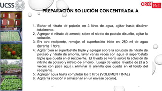 PREPARACIÓN SOLUCIÓN CONCENTRADA A
1. Echar el nitrato de potasio en 3 litros de agua, agitar hasta disolver
totalmente.
2. Agregar el nitrato de amonio sobre el nitrato de potasio disuelto, agitar la
solución.
3. En otro recipiente, remojar el superfosfato triple en 250 ml de agua
durante 1 hora.
4. Agitar bien el superfosfato triple y agregar sobre la solución de nitrato de
potasio y nitrato de amonio, lavar varias veces con agua el superfosfato
triple que queda en el recipiente. El lavado se vierte sobre la solución de
nitrato de potasio y nitrato de amonio. Luego de varios lavados de (3 a 5
veces con poca agua), eliminar la arenilla que queda en el fondo del
recipiente.
5. Agregar agua hasta completar los 5 litros (VOLUMEN FINAL)
6. Agitar la solución y almacenar en un envase oscuro).
 