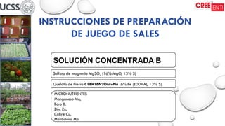 SOLUCIÓN CONCENTRADA B
INSTRUCCIONES DE PREPARACIÓN
DE JUEGO DE SALES
Sulfato de magnesio MgSO4 (16% MgO, 13% S)
Quelato de hierro C18H16N2O6FeNa (6% Fe (EDDHA), 13% S)
MICRONUTRIENTES
Manganeso Mn,
Boro B,
Zinc Zn,
Cobre Cu,
Molibdeno Mo
 